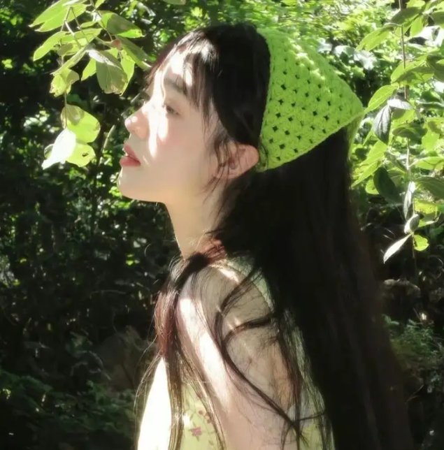 理想主义者